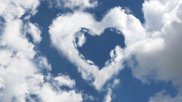 星空公司：儿童室内健身运动玩具