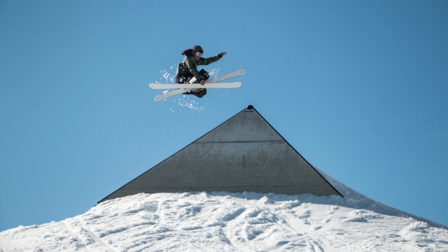 星空体育：健身房室内植物申请书