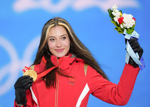 幼儿篮球需要哪些器材